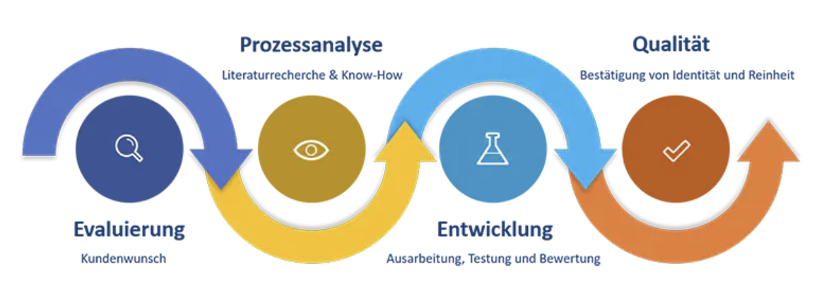 Vierstufiger Prozess von Evaluierung über Prozessanalyse und Entwicklung bis zur Qualitätskontrolle